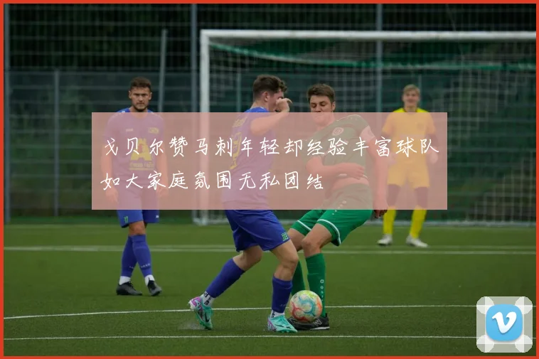 戈贝尔赞马刺年轻却经验丰富球队如大家庭氛围无私团结